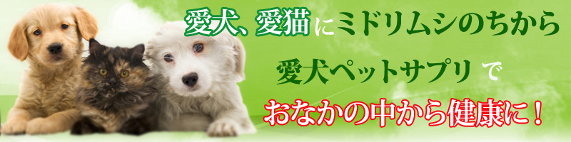 愛犬ペットサプリ「ミドリムシのちから」情報サイト